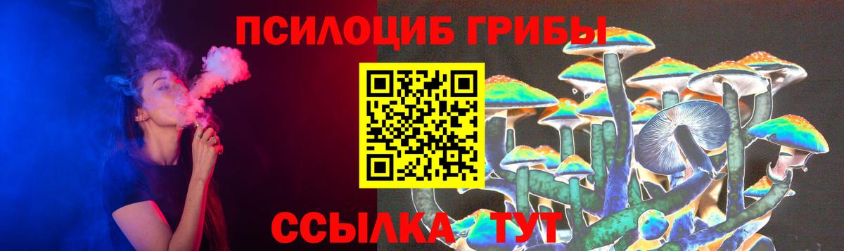 Псилоцибиновые грибы Psilocybine cubensis Арсеньев